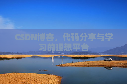 CSDN博客，代码分享与学习的理想平台